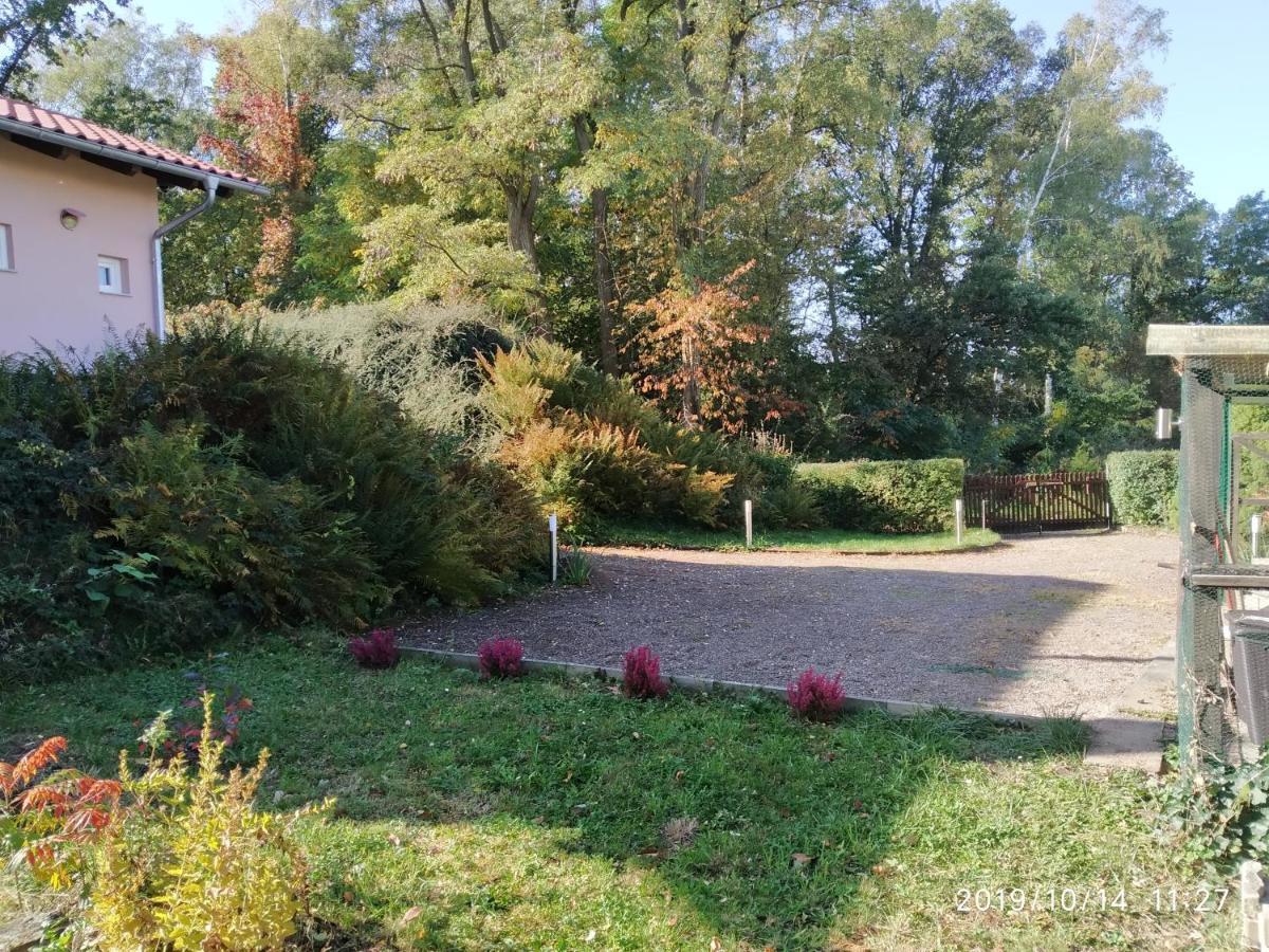 Chalet Kleines Gartenhaus Am Mahler Großschirma